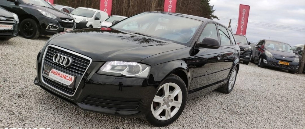 Audi A3 cena 24900 przebieg: 206954, rok produkcji 2010 z Lubin małe 781